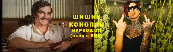 apvp Горнозаводск