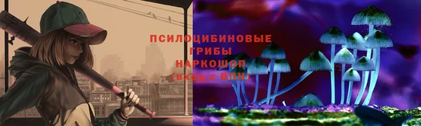 спиды Горно-Алтайск