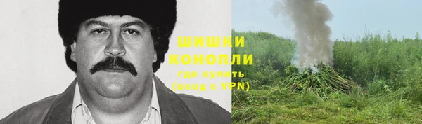 спиды Горно-Алтайск