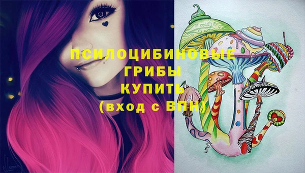 apvp Горнозаводск