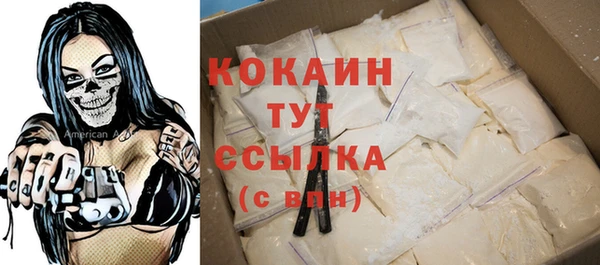 прущий лед Горняк