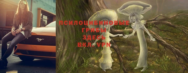 apvp Горнозаводск