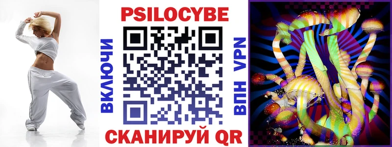 Псилоцибиновые грибы Psilocybe Сельцо