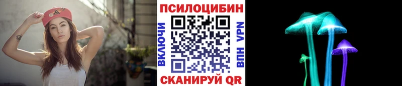 Псилоцибиновые грибы Psilocybine cubensis Сельцо